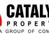 Catalyst Properties