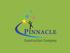 Pinnacle Construction company