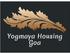 Yogmaya Hostels