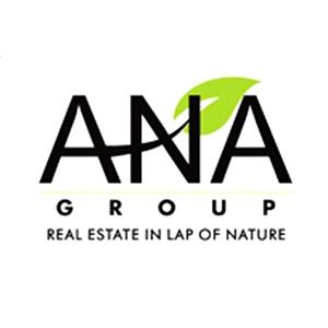 ANA Group logo