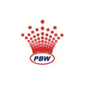 Punit Buildwell logo