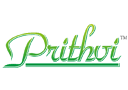 Prithvi Property Developers logo