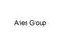 Aries Group