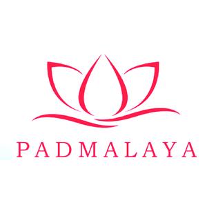Padmalaya Projects LLP logo