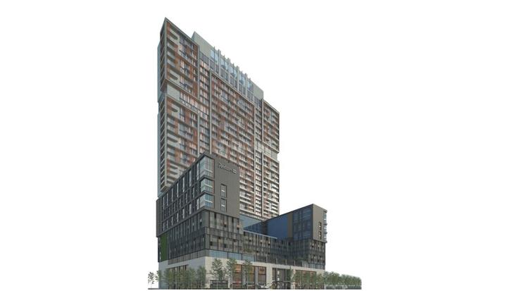 Bayaweaver X Noida - Image 3