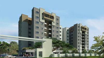 Gallery Cover Pic of Covai Urbana Irene
