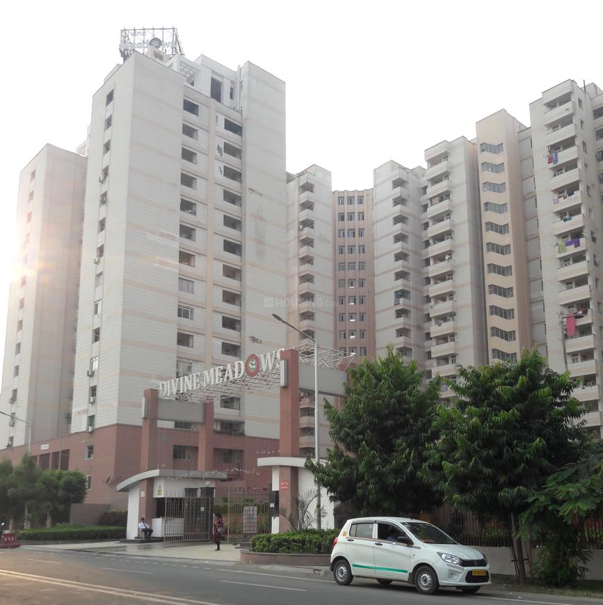 Elixir Divine Meadows