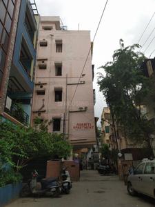 Gallery Cover Pic of Avanti Apartments