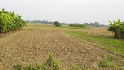 Residential Lands for Sale in RIC Real life Land Project