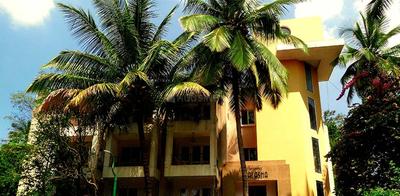 Gallery Cover Pic of Renaissance Palasha