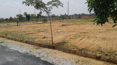 NBR Meadows