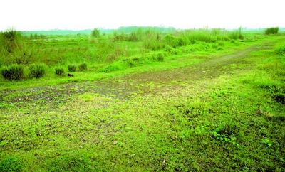 Residential Lands for Sale in Debrupayan De Nature Plot