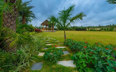 Gallery Cover Pic of SPA Eco City