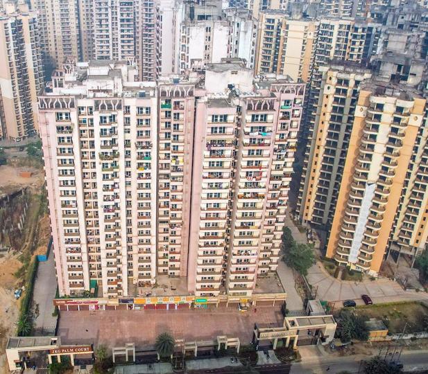 JKG Palm Court - Image 4