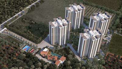 Alembic Urban Forest