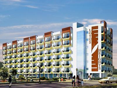 Lotus Height - Image 3