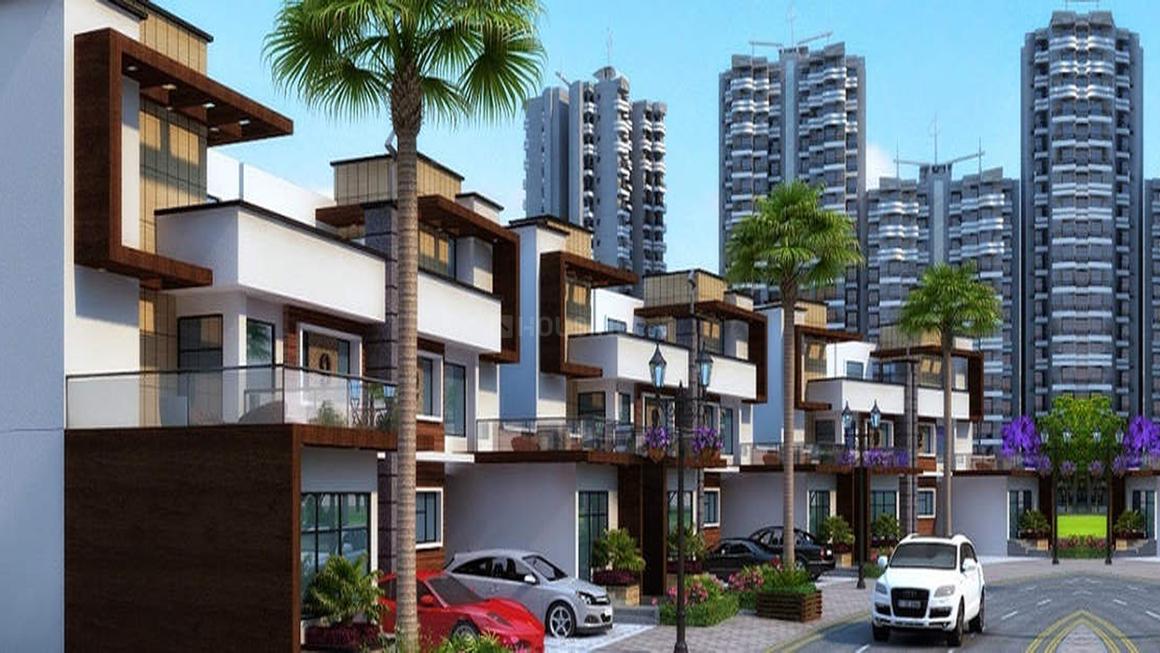 Renowned Lotus Srishti