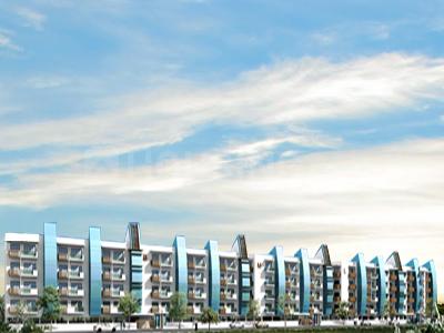 YMR Projects BML Palms