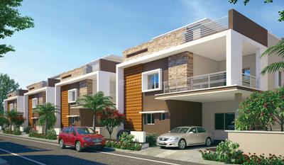 Gallery Cover Pic of Prime Alpenia