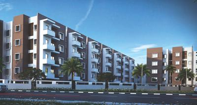 Mahaveer Turquoise