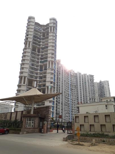 Amrapali Platinum - Image 4