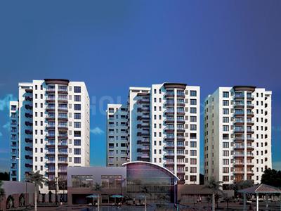 Gallery Cover Pic of Pride Purple Park Platinum