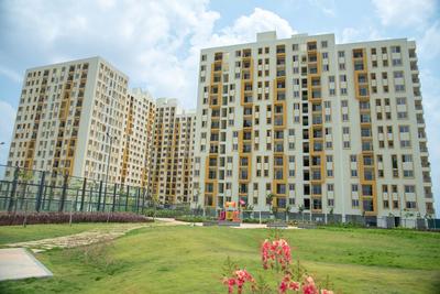 Gallery Cover Pic of New Haven Ribbon Walk - Chennai