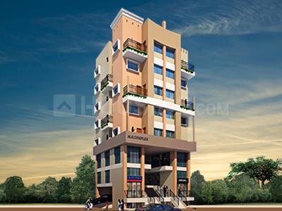 Gallery Cover Pic of M S Complex