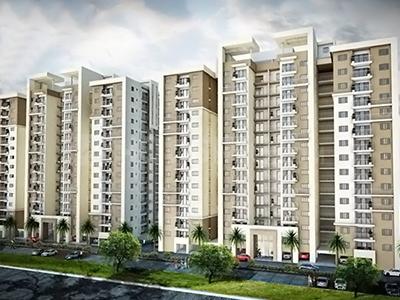 Gallery Cover Pic of Incor PBEL City Siesta