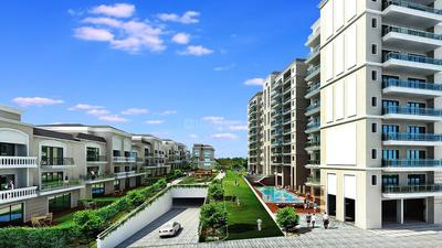 Gallery Cover Pic of DLF Kings Court