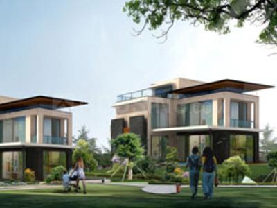 Gallery Cover Pic of SRS Nex Boulevard
