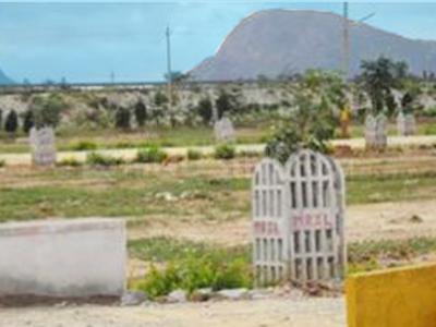 Gallery Cover Pic of Maxworth Max Nandhana Phase III