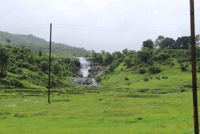 Gallery Cover Pic of Disha Bombay99
