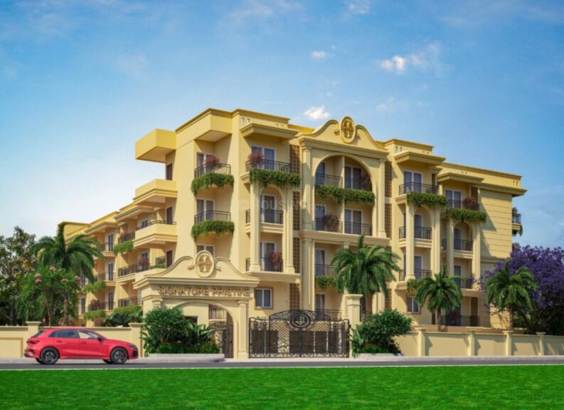 Signature Pristine - Main Image