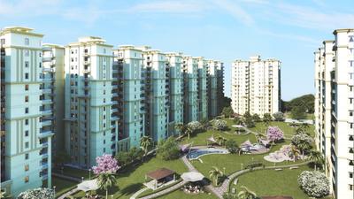 Urban Amangani
