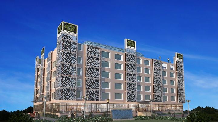 Mass Build Well Livin' Life - Image 5