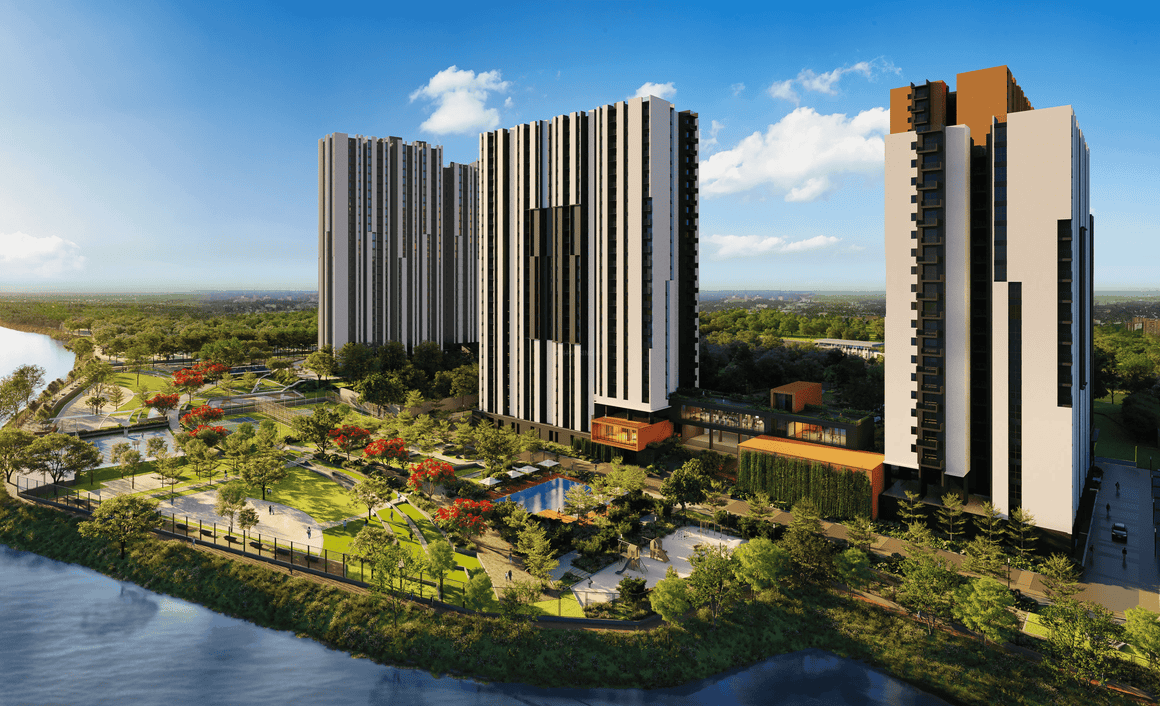 CANVAS & COVE - Image 1
