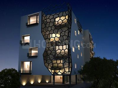 Safta Floors - 5