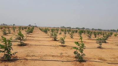 Residential Lands for Sale in Aadhira Nature Farms