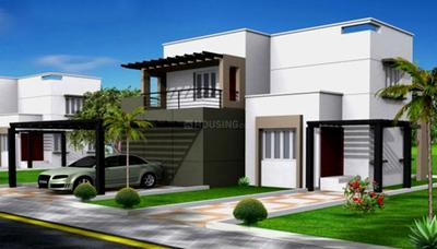 Gallery Cover Pic of MaxIndia White Lily