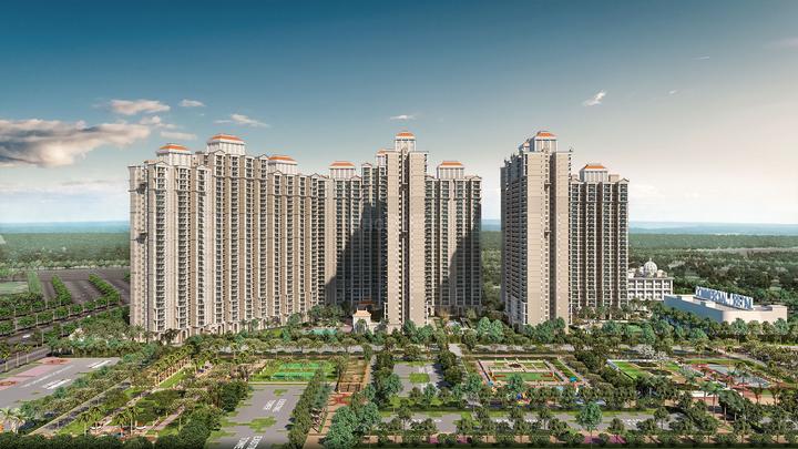 Prateek Grand Begonia - Image 4