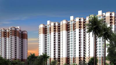Nirala Greenshire