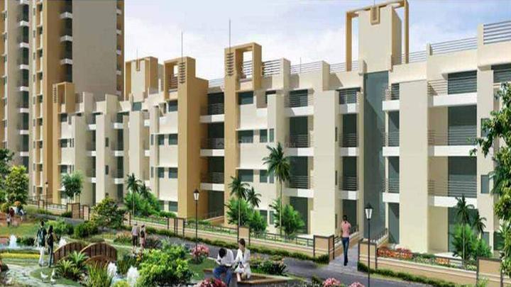 Today Kings Park - Image 5