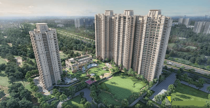 CRC Joyous - Image 4