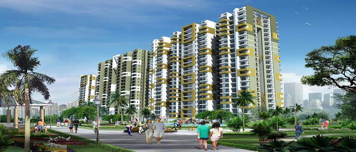 ACE Group Platinum Zeta 1 - Image 4