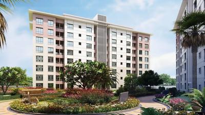 Gallery Cover Pic of Playtor Rajgurunagar Phase 2
