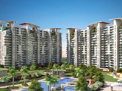 Janta Falcon View