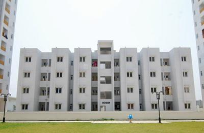 Gallery Cover Pic of Shrachi Greenwood Elements