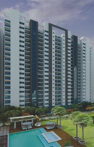 Revanta Diplomatic Greens