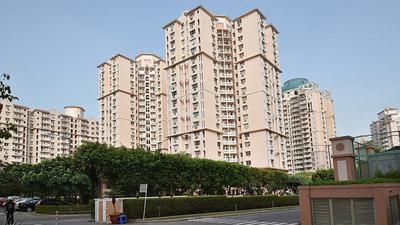 Gallery Cover Image of 980 Sq.ft 2 BHK Apartment for rent in DLF Princeton Estate, DLF Phase 5 for 27000